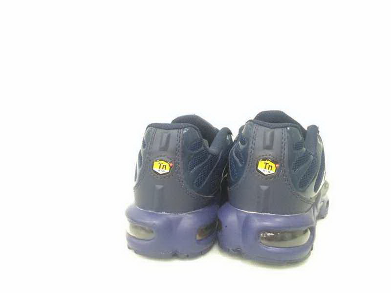 Nike Air Max TN Plus men shoes-207