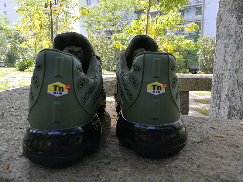 Nike Air Max TN Plus men shoes-293