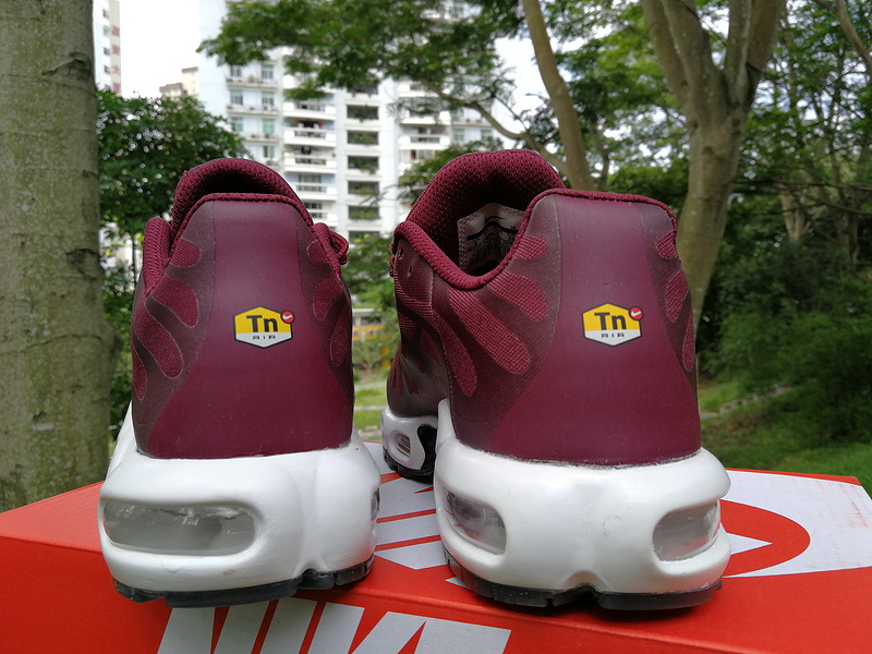 Nike Air Max TN Plus men shoes-301
