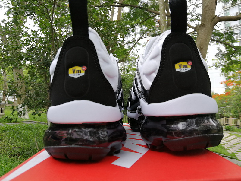 Nike Air Max TN Plus men shoes-308