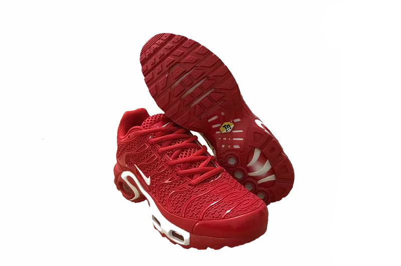 Nike Air Max TN Plus men shoes-568