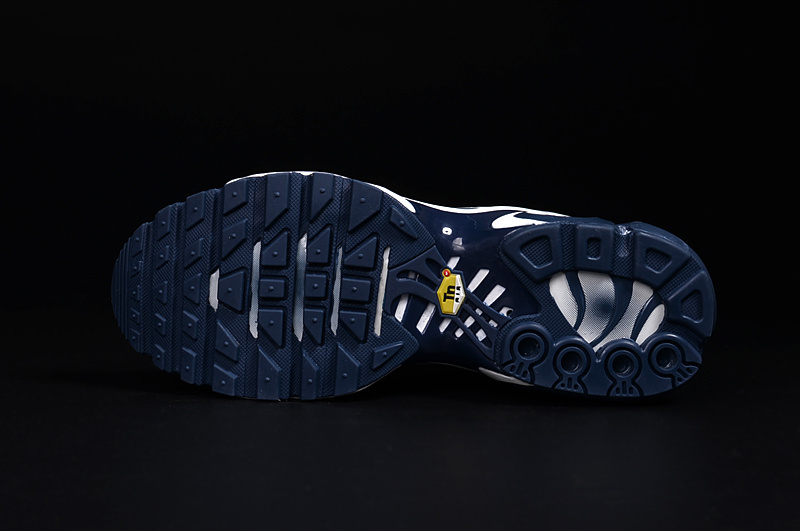 Nike Air Max TN men shoes-022