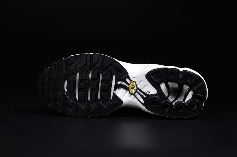 Nike Air Max TN men shoes-023