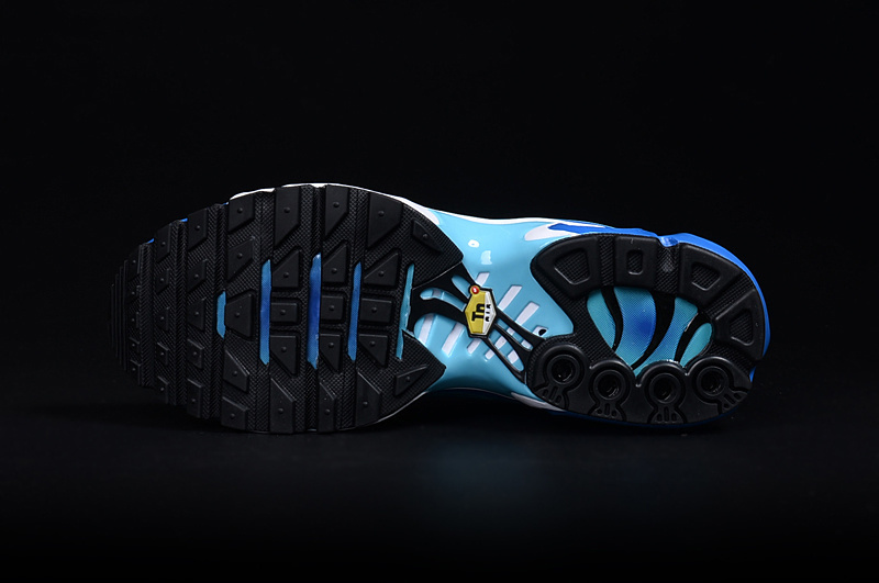 Nike Air Max TN men shoes-024