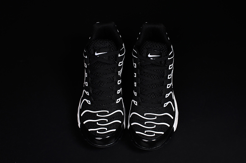 Nike Air Max TN men shoes-025