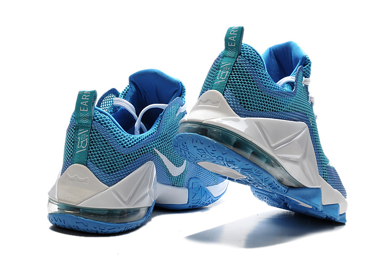 Nike LeBron James 12 Low shoes-006