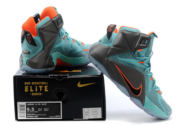 Nike LeBron James 12 shoes-006