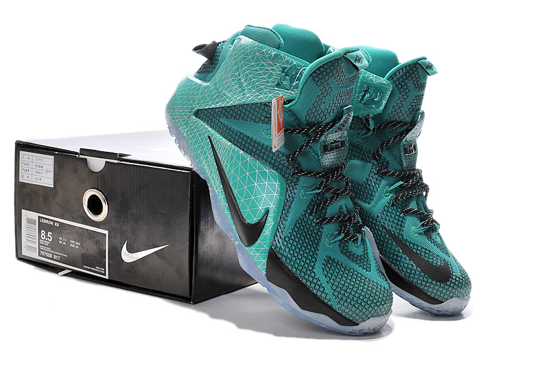 Nike LeBron James 12 shoes-081