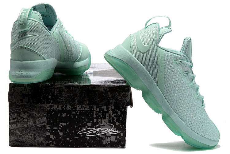 Nike LeBron James 14 Low shoes-002