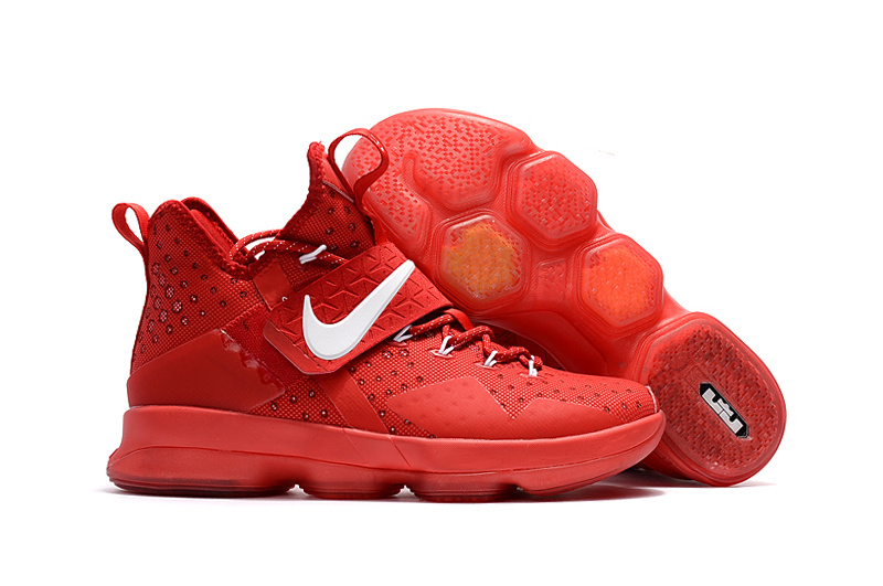Nike LeBron James 14 shoes-003