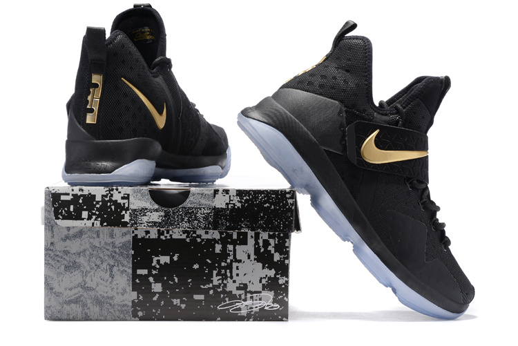 Nike LeBron James 14 shoes-014