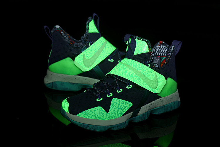 Nike LeBron James 14 shoes-024