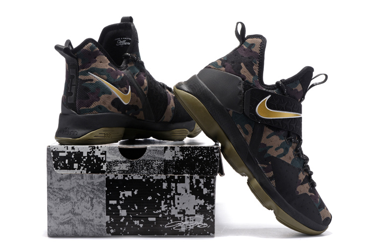 Nike LeBron James 14 shoes-028