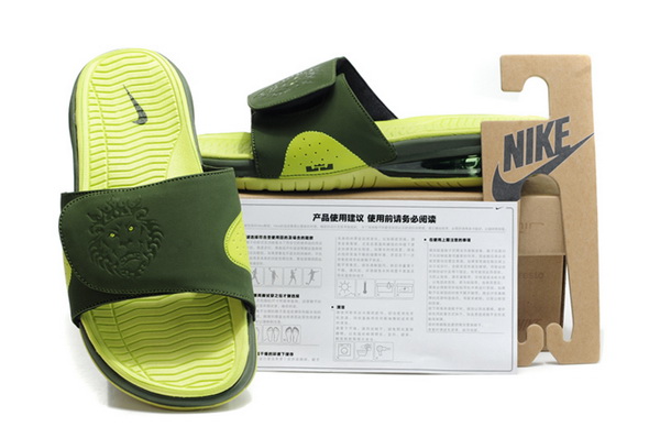 Nike LeBron James slippers-004