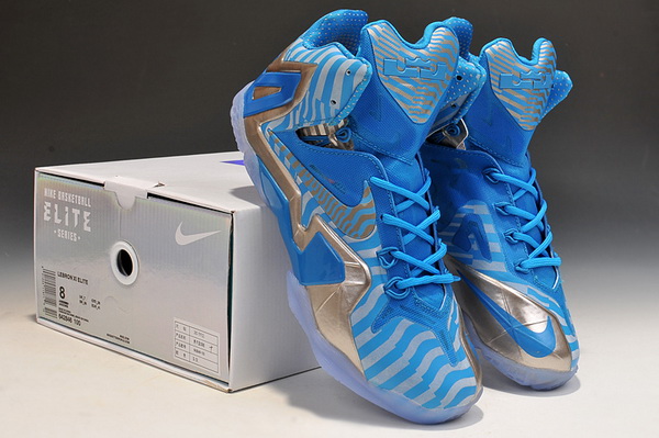 Perfect Nike LeBron 11 Elite Shoes-090