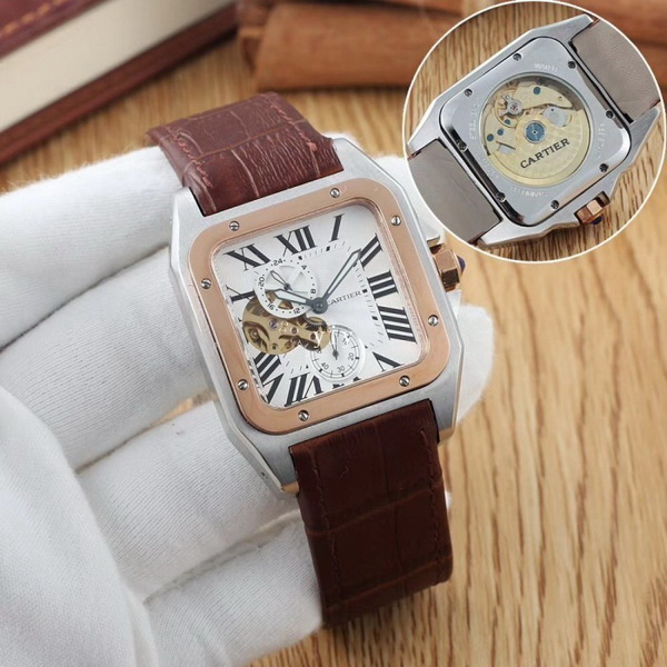 Cartier Watches-085