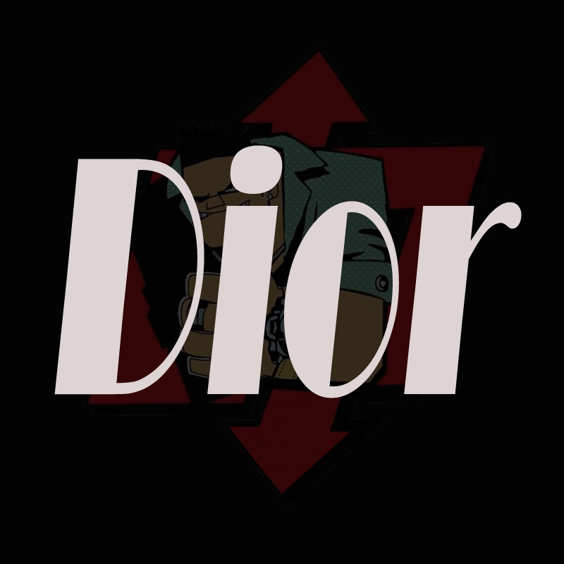 Dior Watches028