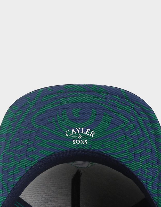 Cayler&Sons Snapbacks-130