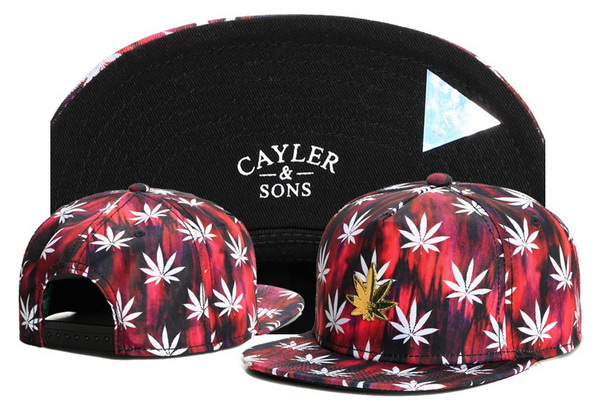 Cayler&Sons Snapbacks-439