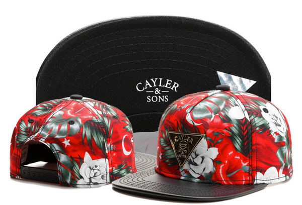 Cayler&Sons Snapbacks-533