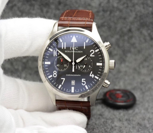 IWC Watches-141