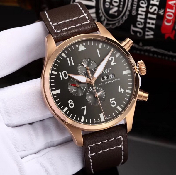 IWC Watches-205