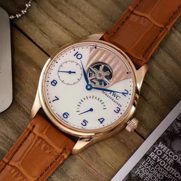 IWC Watches-249