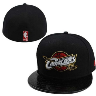 NBA Fitted Hats-013