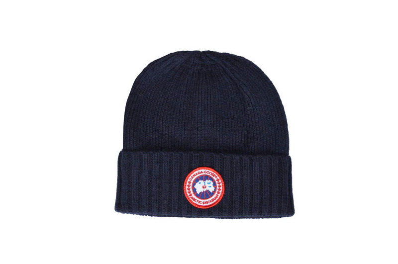Other brand beanie hats-109
