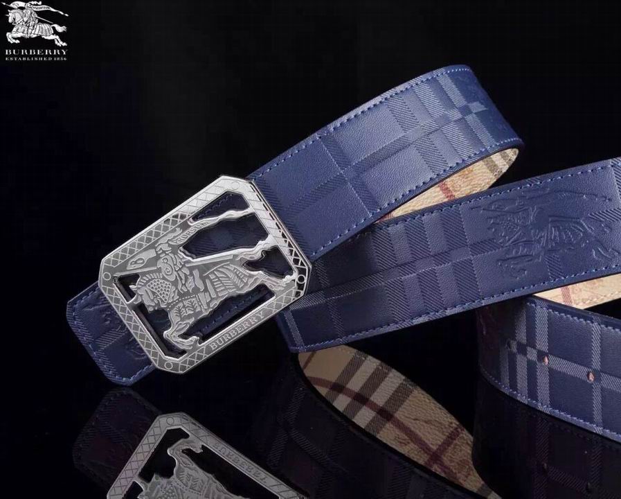 Super Perfect Quality Burberry Belts(100% Genuine Leather,steel buckle)-255