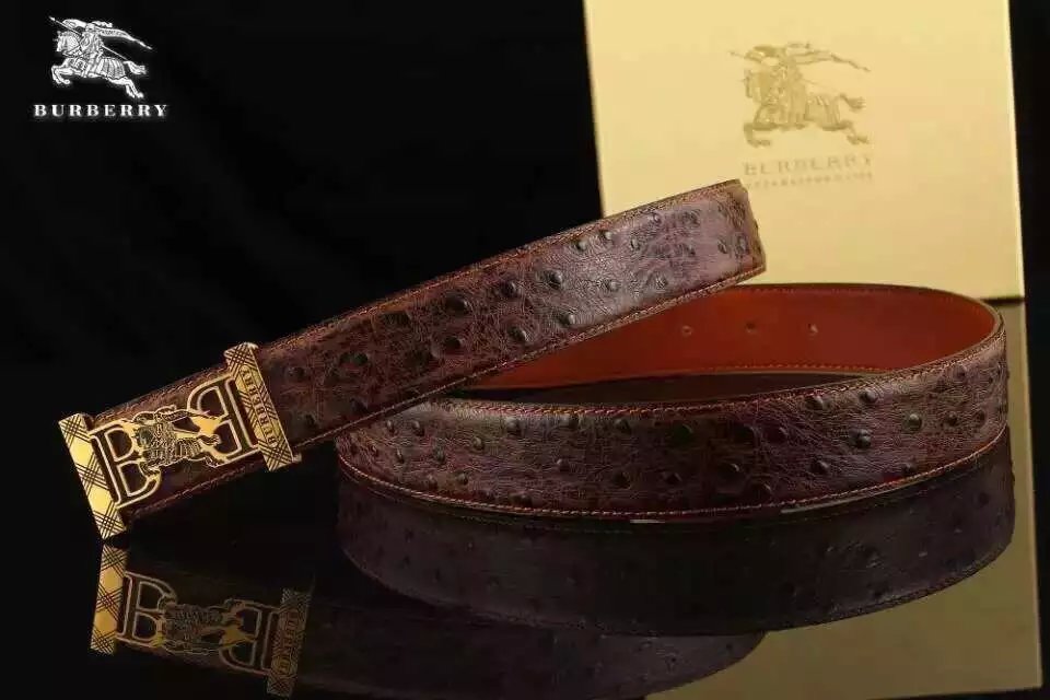 Super Perfect Quality Burberry Belts(100% Genuine Leather,steel buckle)-261