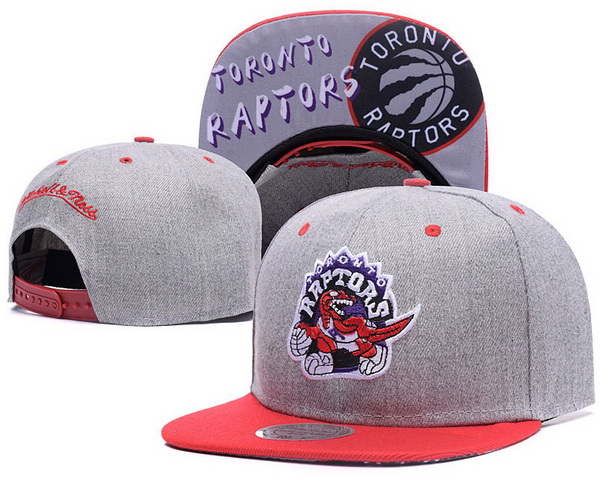 Toronto Raptors Snapback-002