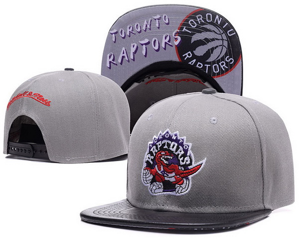 Toronto Raptors Snapback-010