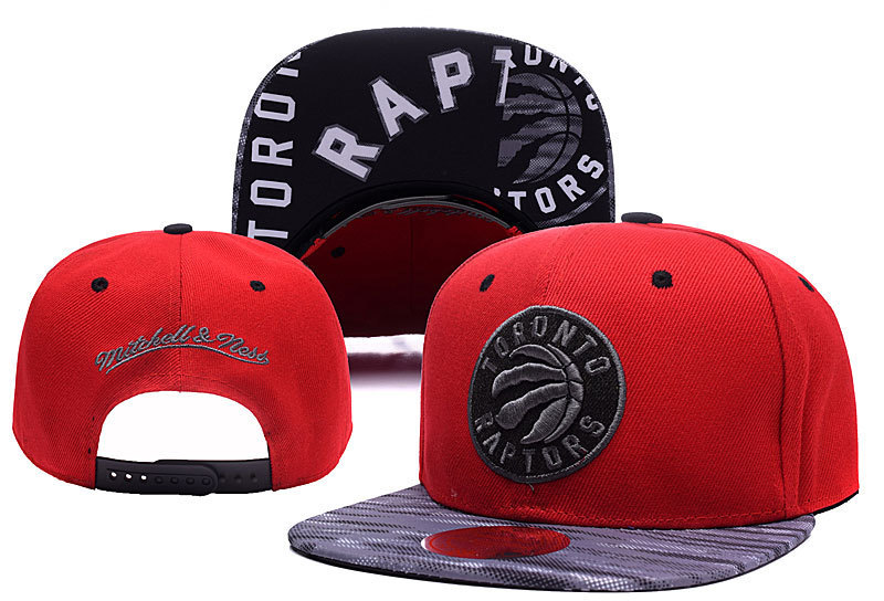 Toronto Raptors Snapback-013