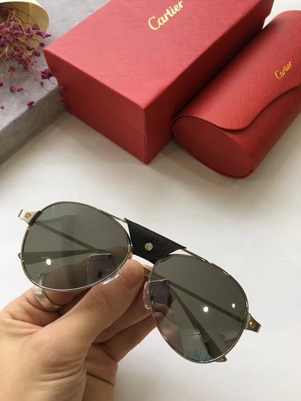 Cartier Sunglasses AAAA-255