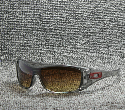 Oakley Sunglasses AAA-133