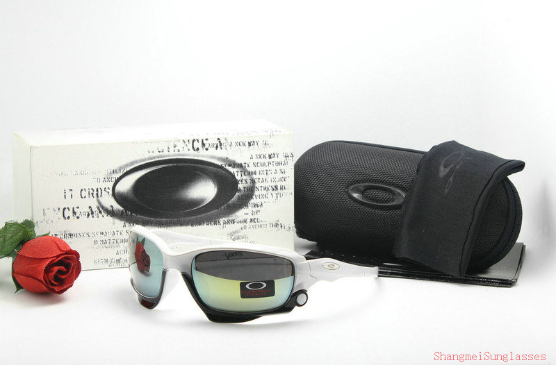 Oakley Sunglasses AAA-491