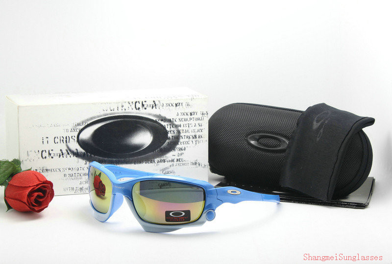 Oakley Sunglasses AAA-493