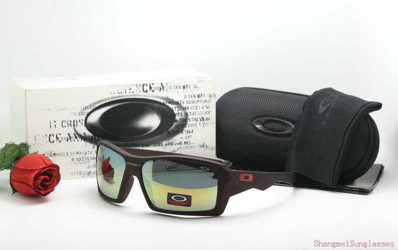 Oakley Sunglasses AAA-541