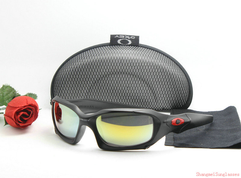 Oakley Sunglasses AAA-798