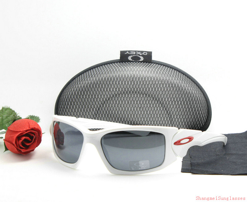 Oakley Sunglasses AAA-811
