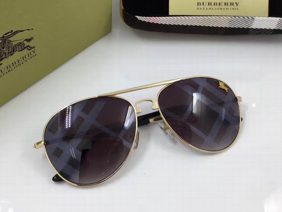 Burberry Sunglasses AAAA-290