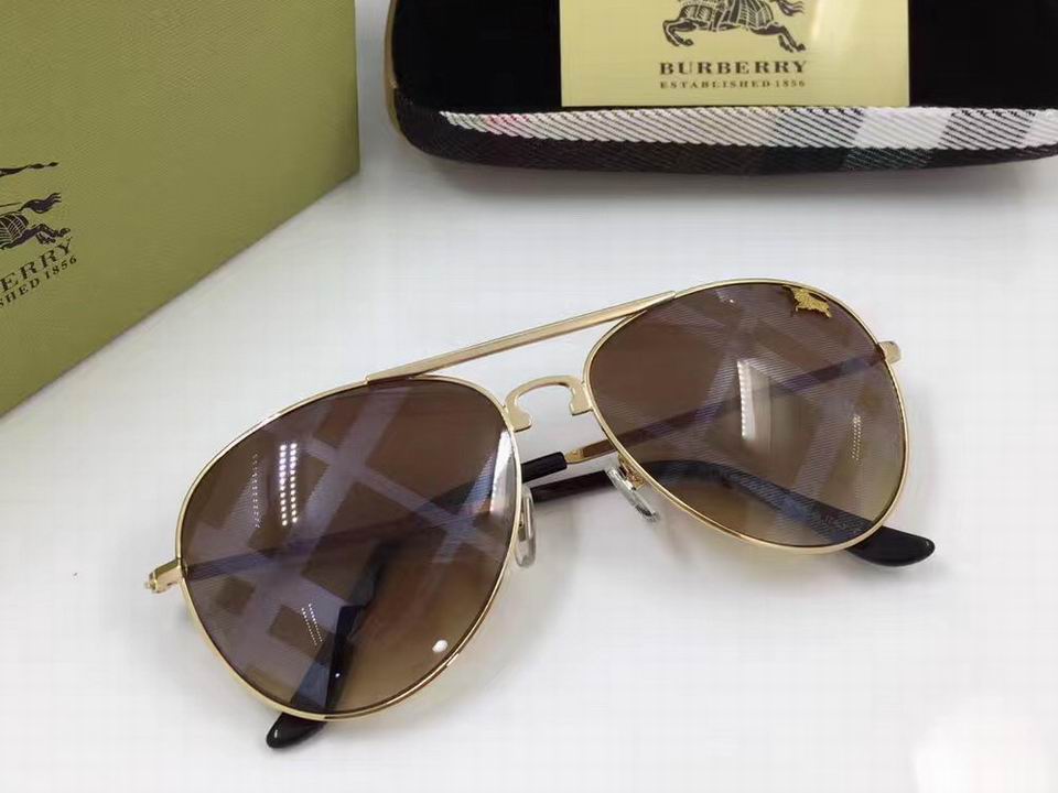 Burberry Sunglasses AAAA-293