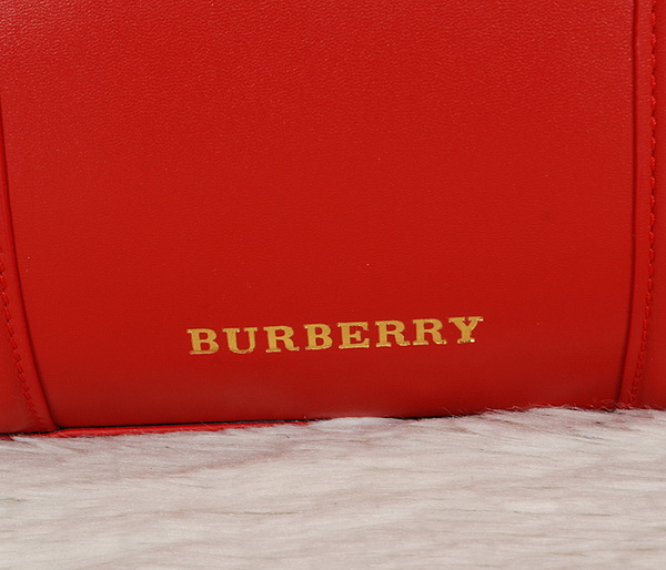 Burberry Handbags AAA-038