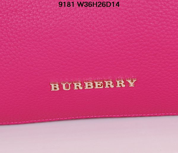Burberry Handbags AAA-042