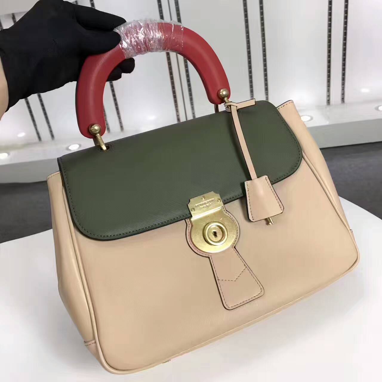 Burberry Handbags AAA-123