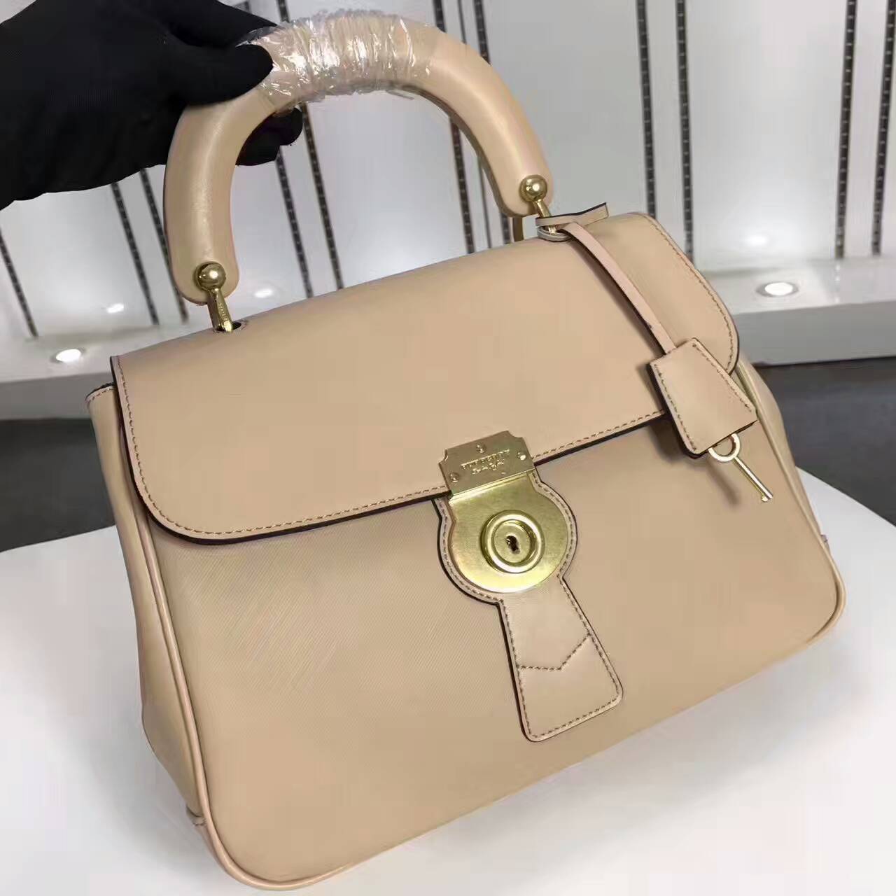 Burberry Handbags AAA-124