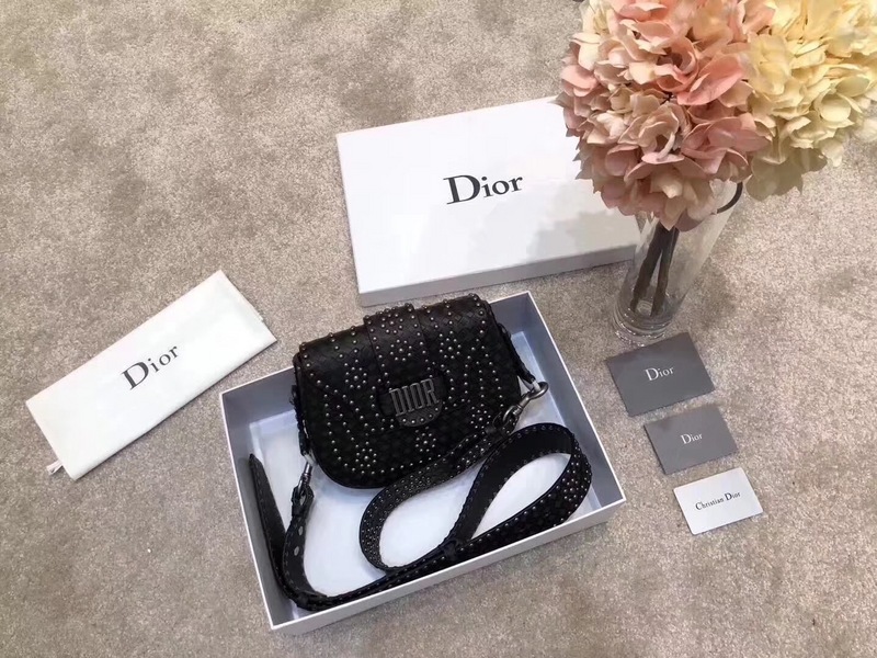 Super Perfect Dior Hangbag-016
