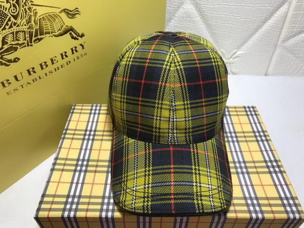 Burrerry Hats AAA-155