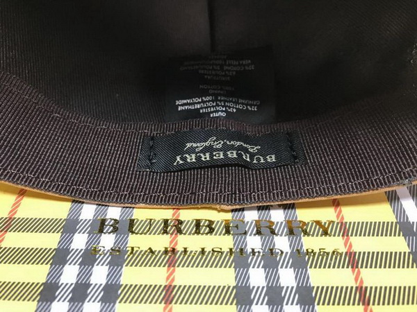Burrerry Hats AAA-158
